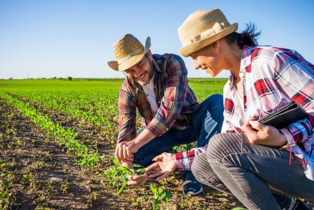 Plano Safra da agricultura familiar será de R$ 77,7 bilhões; confira detalhes